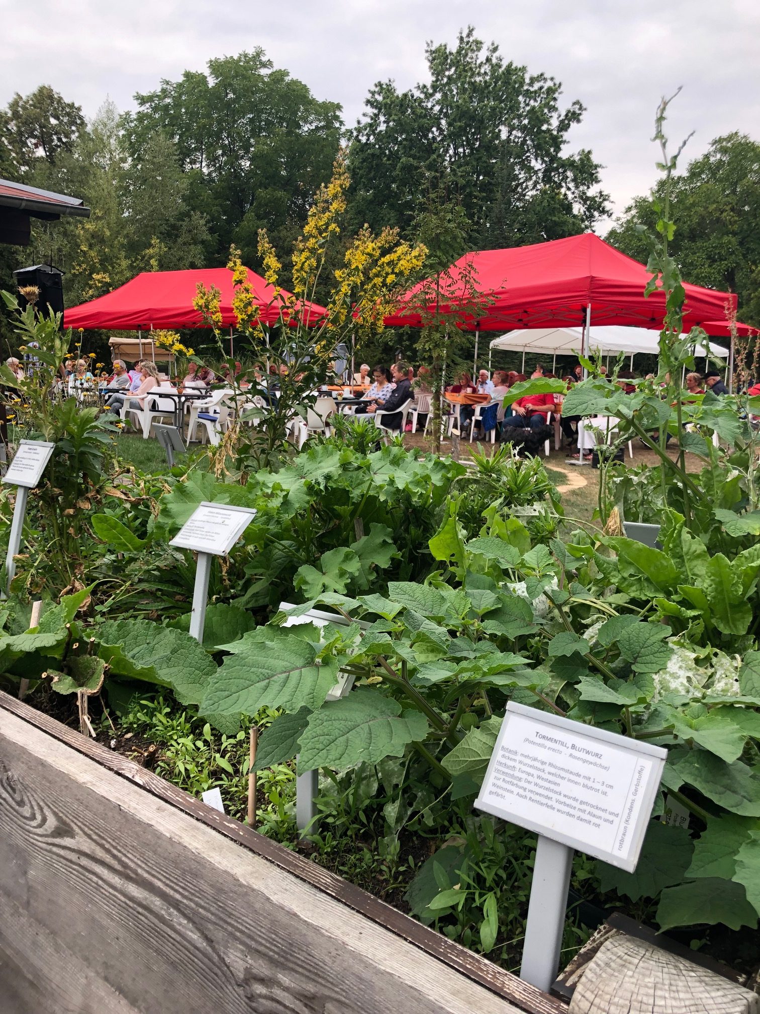 Großpösna Oberholz Botanischer Garten Sächsische